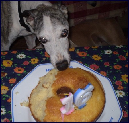 Casey comendo bolo de  16 anos